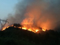 飞霞清明节扑救山火纪实